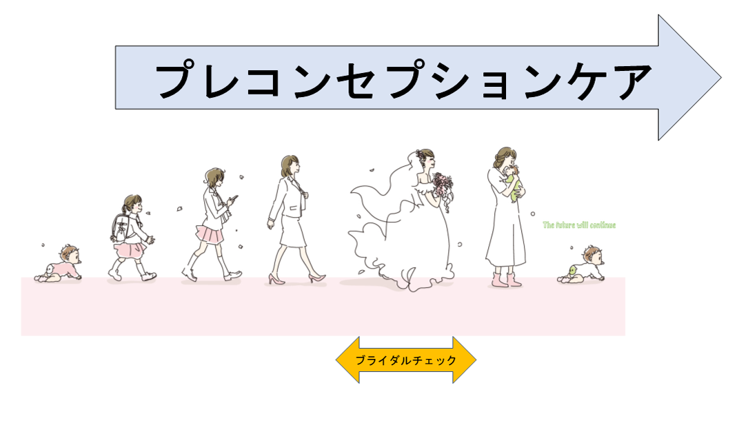 プレコンセプションケアとブライダルチェックのイメージ図