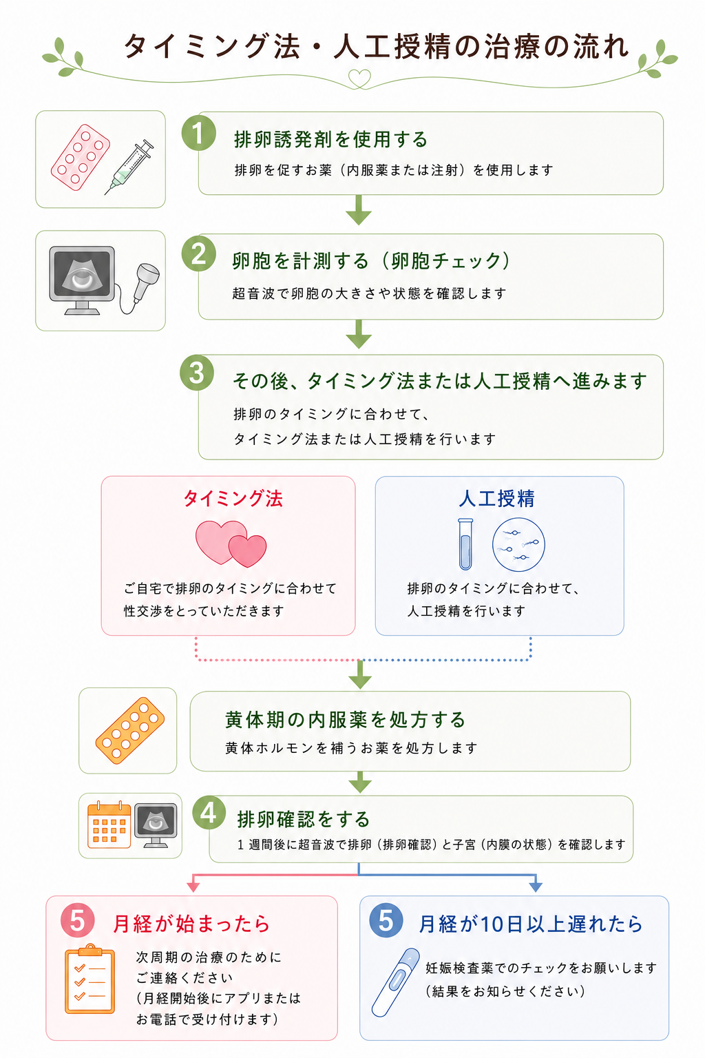 タイミング法・神経授精治療の流れ